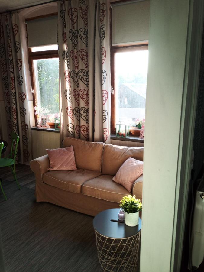 Bed and Breakfast Zur Friedrichsruh Oelsnitz  Exterior foto